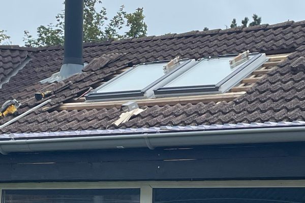 401270130_738726125020137_1632047710544173695_n